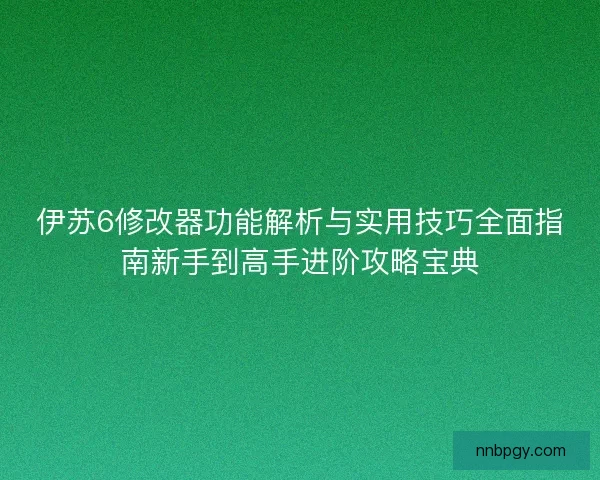 伊苏6修改器功能解析与实用技巧全面指南新手到高手进阶攻略宝典 伊苏6修改器功能解析与实用技巧全面指南新手到高手进阶攻略宝典