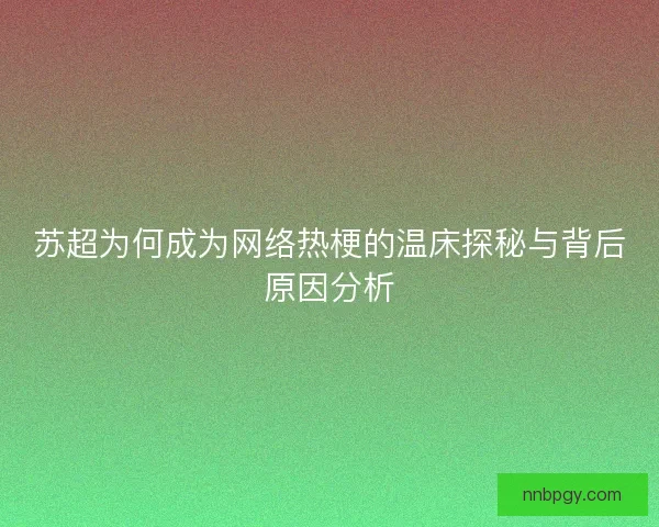 苏超为何成为网络热梗的温床探秘与背后原因分析 苏超为何成为网络热梗的温床探秘与背后原因分析